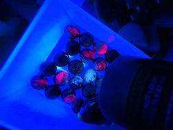 Imagen de reseña 5