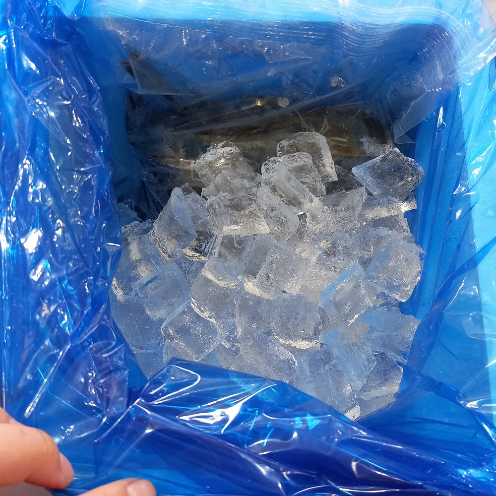 국산 활 흰다리새우 1kg 왕새우 대하