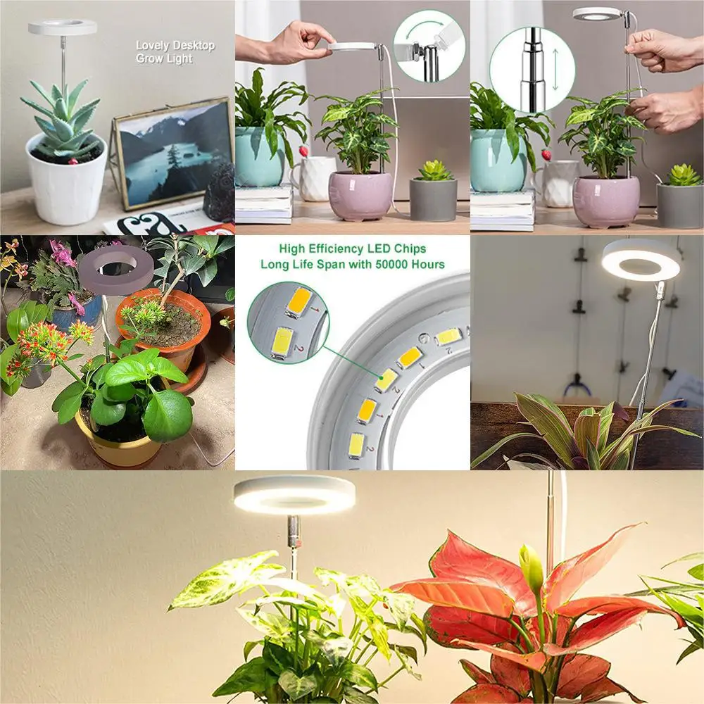 Indoor Plants Full Spectrum Growth Lamp Angel Ring LED Plant Grow Light With Timer USB Phytolamp Greenhouse Plants Growth Lamp