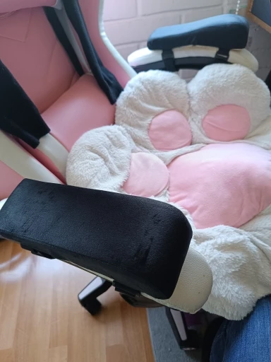 실물 포토 리뷰