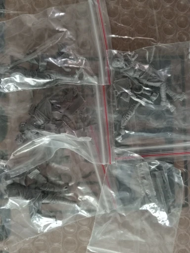 Buyer photo of this resin kit