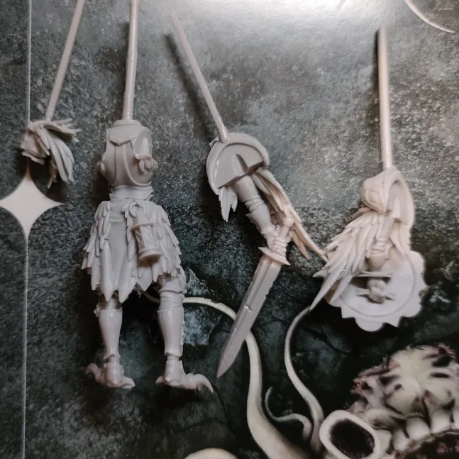 Buyer photo of this resin kit