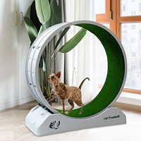 Silent Cat Running Wheel Treadmill Toy with Scratcher Board, Exercise Roller Frame, Pet Fitness Climbing Toy, 80x35x85cm Gray