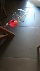 Imagen de reseña 2