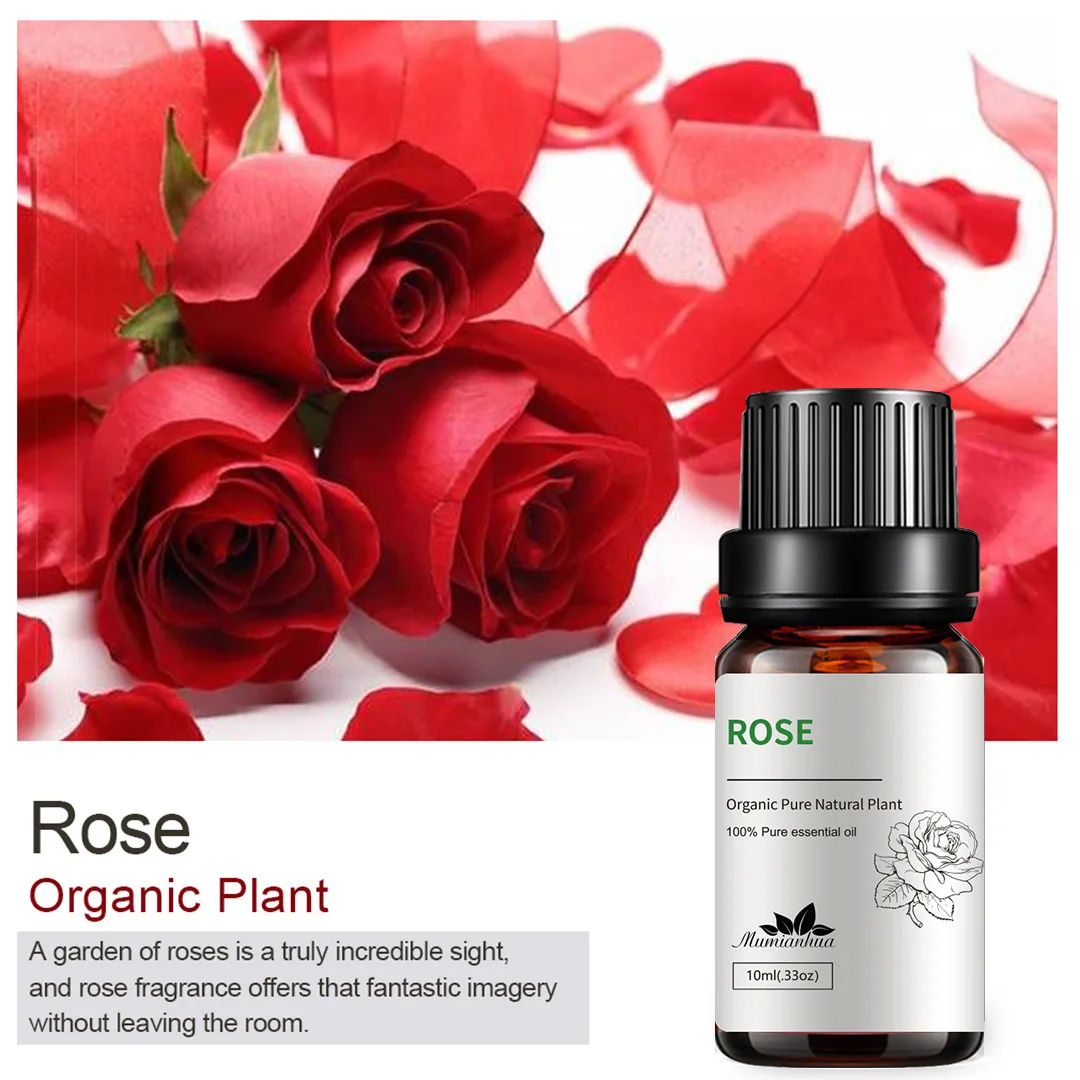 Rose Essential Oil 100% Pure Aromatherapy Oil Rose Oil for Diffuser, Perfumes, Massage, Skin Care - 10ml