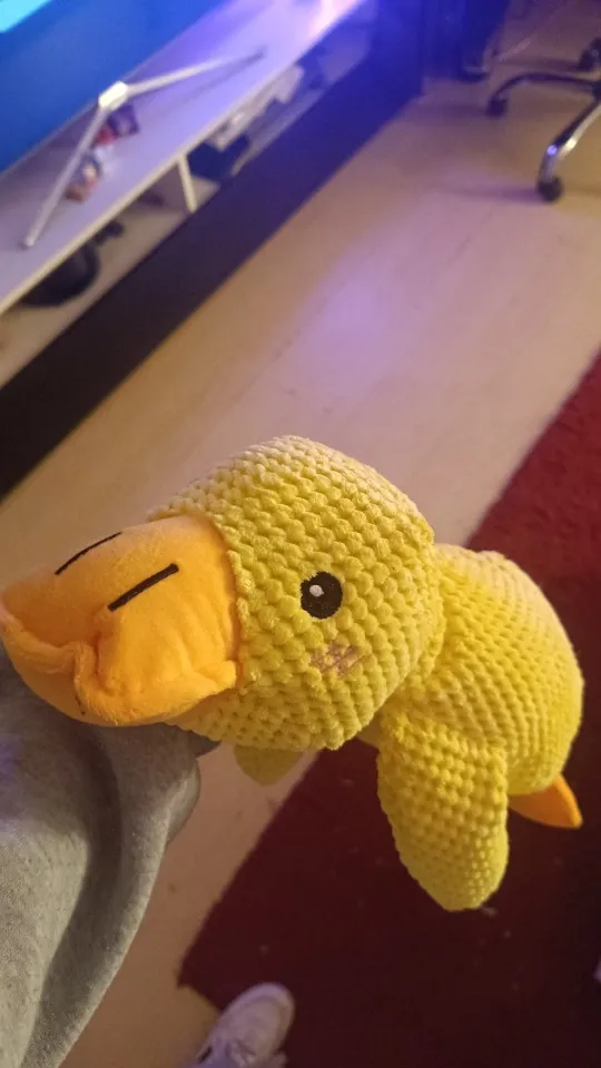 Dog Bite Resistant Teeth Grinding Sound Relief Duck Sound Toy Plush Companion Sleeping Duck Dog Toys for Small Large Dogs photo review