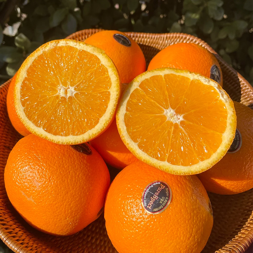 التسمية الأمريكية السوداء البرتقالية