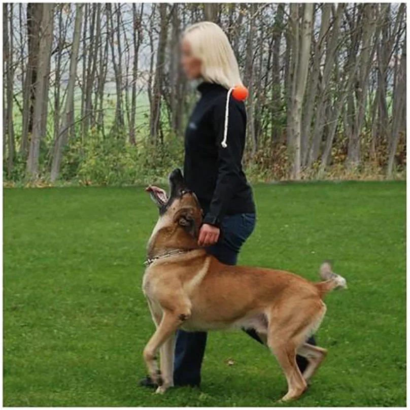 Dog Training Magnetic Ball, Orange Soft Ball with Rope