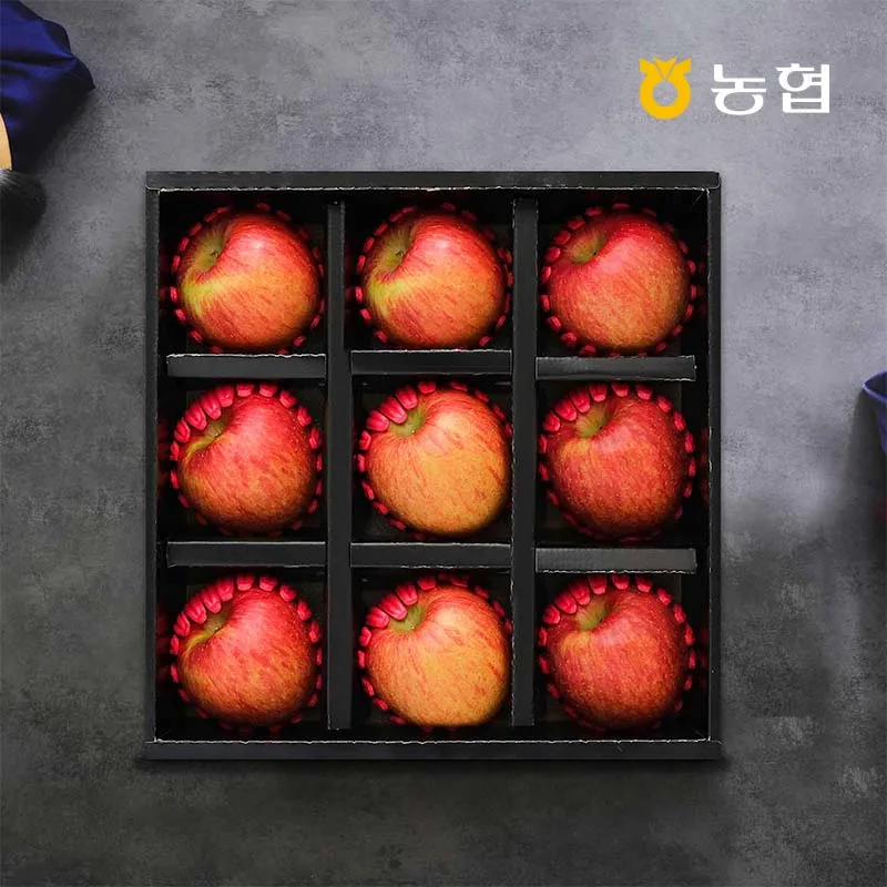 [It is possible to be designated] Dongdong Agricultural Cooperative Apple 9 (large fruit) fruit gift set