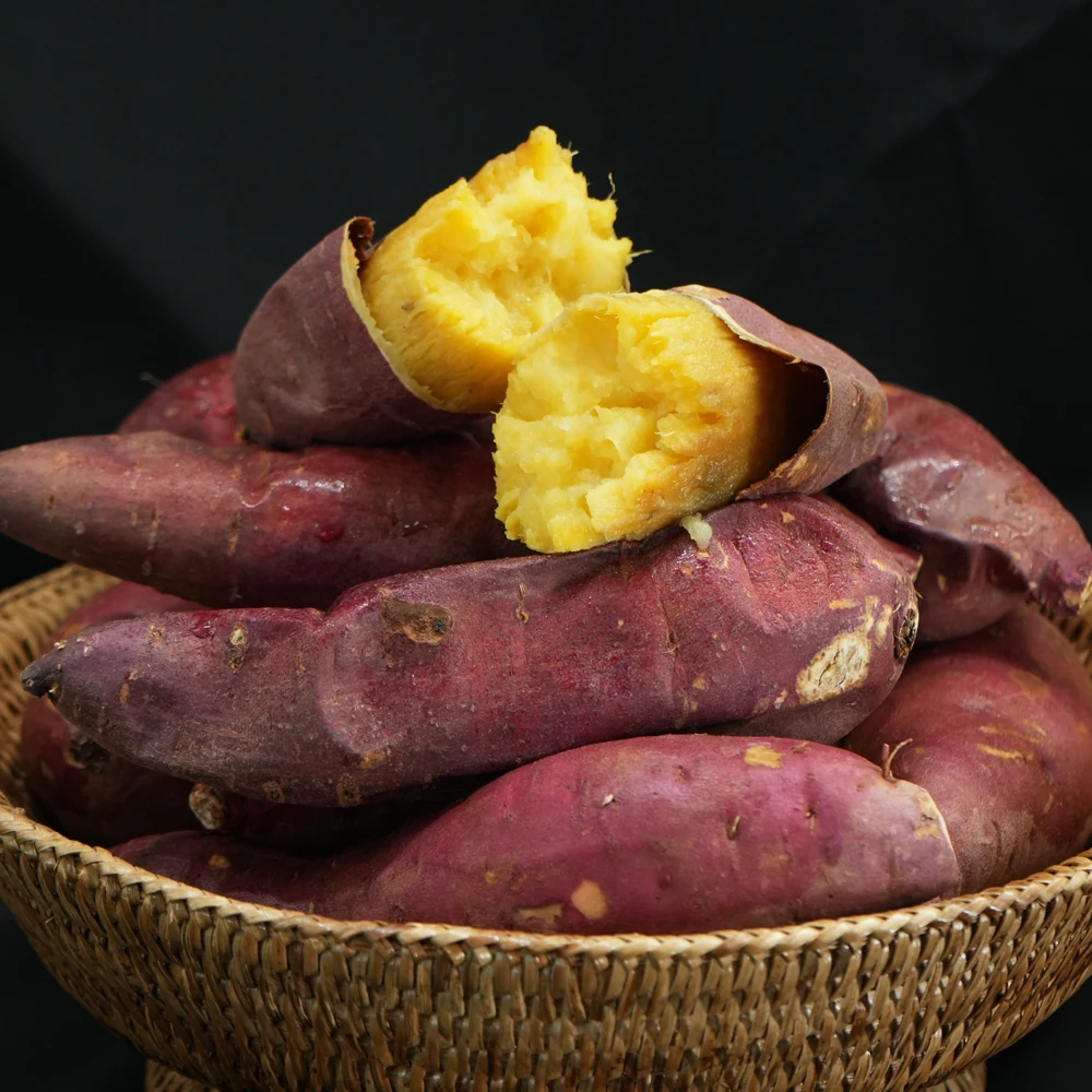 2025년 해남에서 온 맛있는 햇 꿀고구마 10kg (옵션 구매)