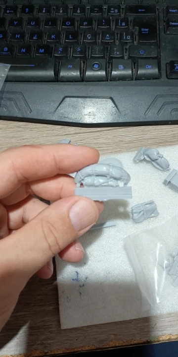 Buyer photo of this resin kit