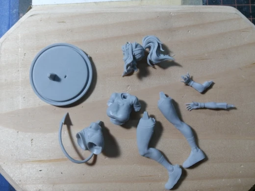 Buyer photo of this resin kit