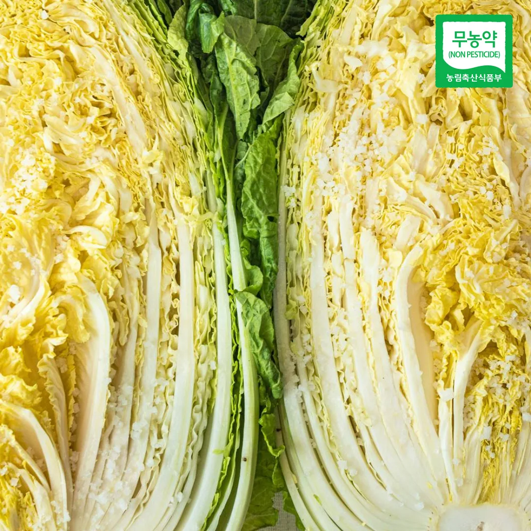 [November reservation] 20kg of pesticide-free yellow clay field sweet Haenam pickled cabbage