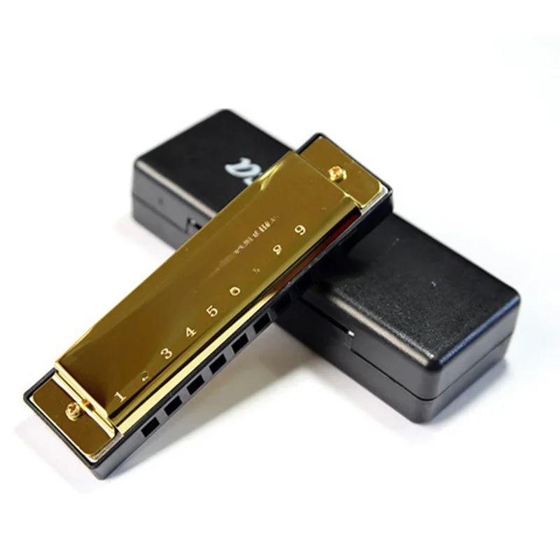 Harmonica clé de C 10 trous Harmonica diatonique C avec étui pour étudiants débutants enfants cadeau BLUES avec étui