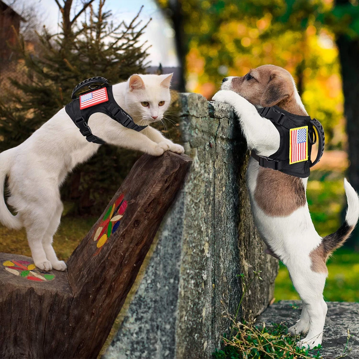 Thumbnail 3 - #4 Trending Puppy Training Pads Right Now