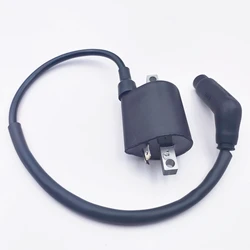 Ignition Coil with Wire for Stels 300B ATV Buyang 300 Feishen FA 300CC D300 G300 H300 Quad 5.3.01.0240 LU019139 Hunter XTX 300B