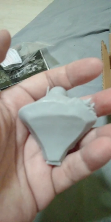 Buyer photo of this resin kit