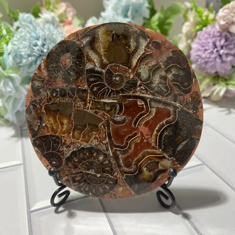 Natural Ammonite Composite Disc Mosaic Stone Art Round Healing Crystal Home Decor Display