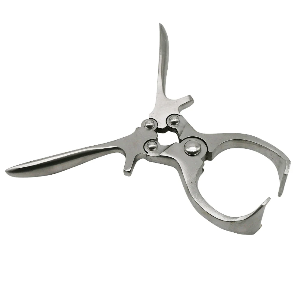 1Pc Livestock Without Blood Castration Pliers Pig Sheep Testicular Castration Clamp Farm Animal Scrotum Clamps Veterinary Tools