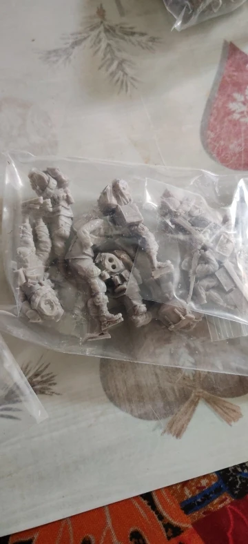 Buyer photo of this resin kit