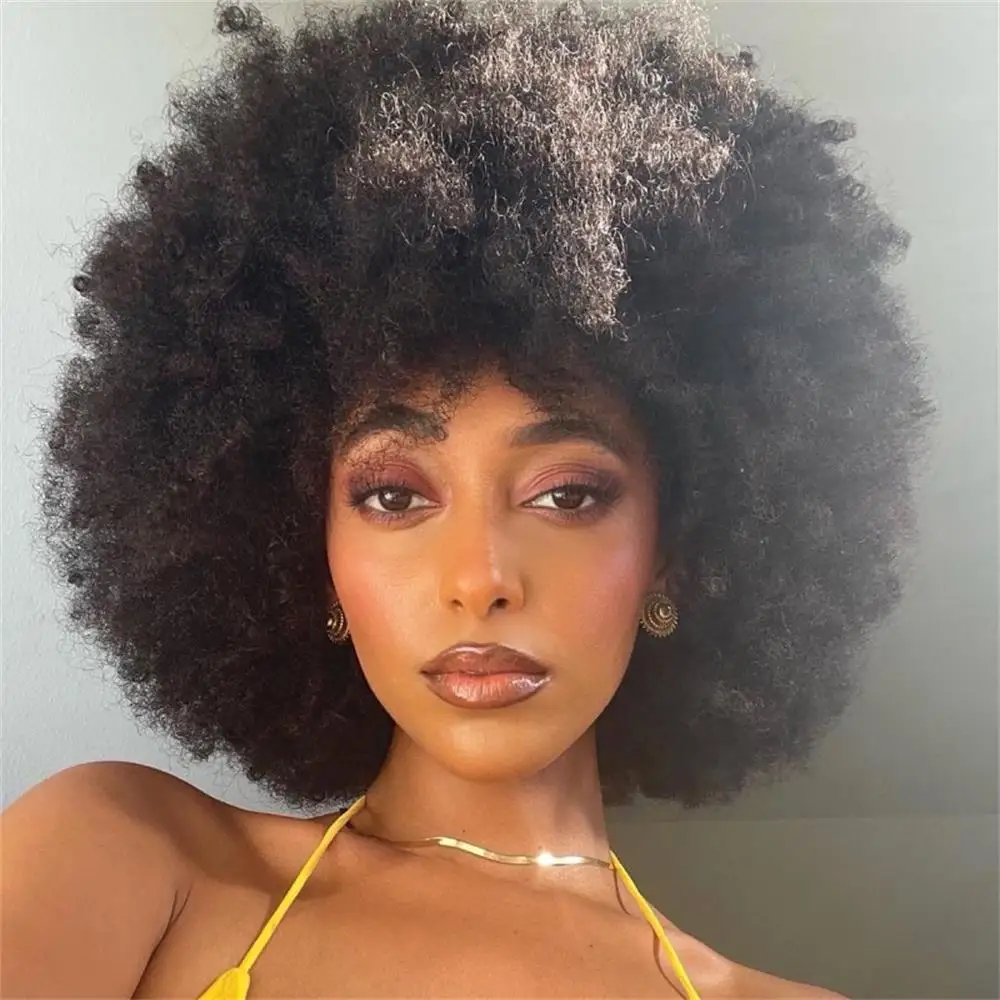 Afro Kinky Curly 100% Echthaar 250% Dichte Vollmaschinenperücke Brasilianisches Jungfrauenhaar Perücke für Frauen Weich und Seidig – Detail 2