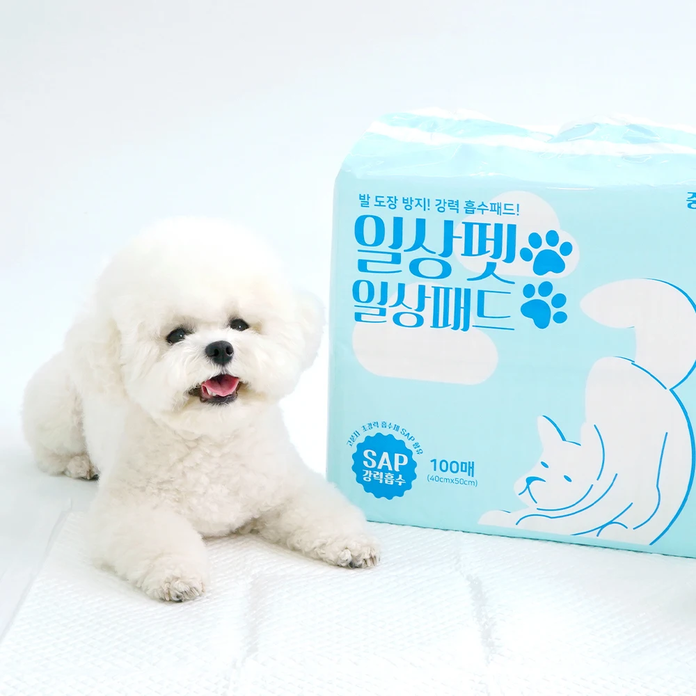 100 medium-sized daily pet toilet pads