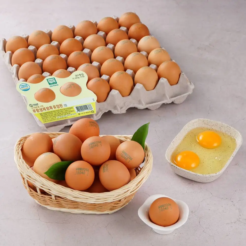 number 1  organic natural egg 30 pieces /1번 유정란 30