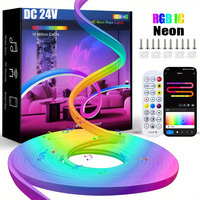 Dc24V Rgb Ic Neon Led Ribbon 5M 10M 15M 20M Rgbic Neon Led String Light App Remote Control Smart Neon Led Strip Light Waterproof