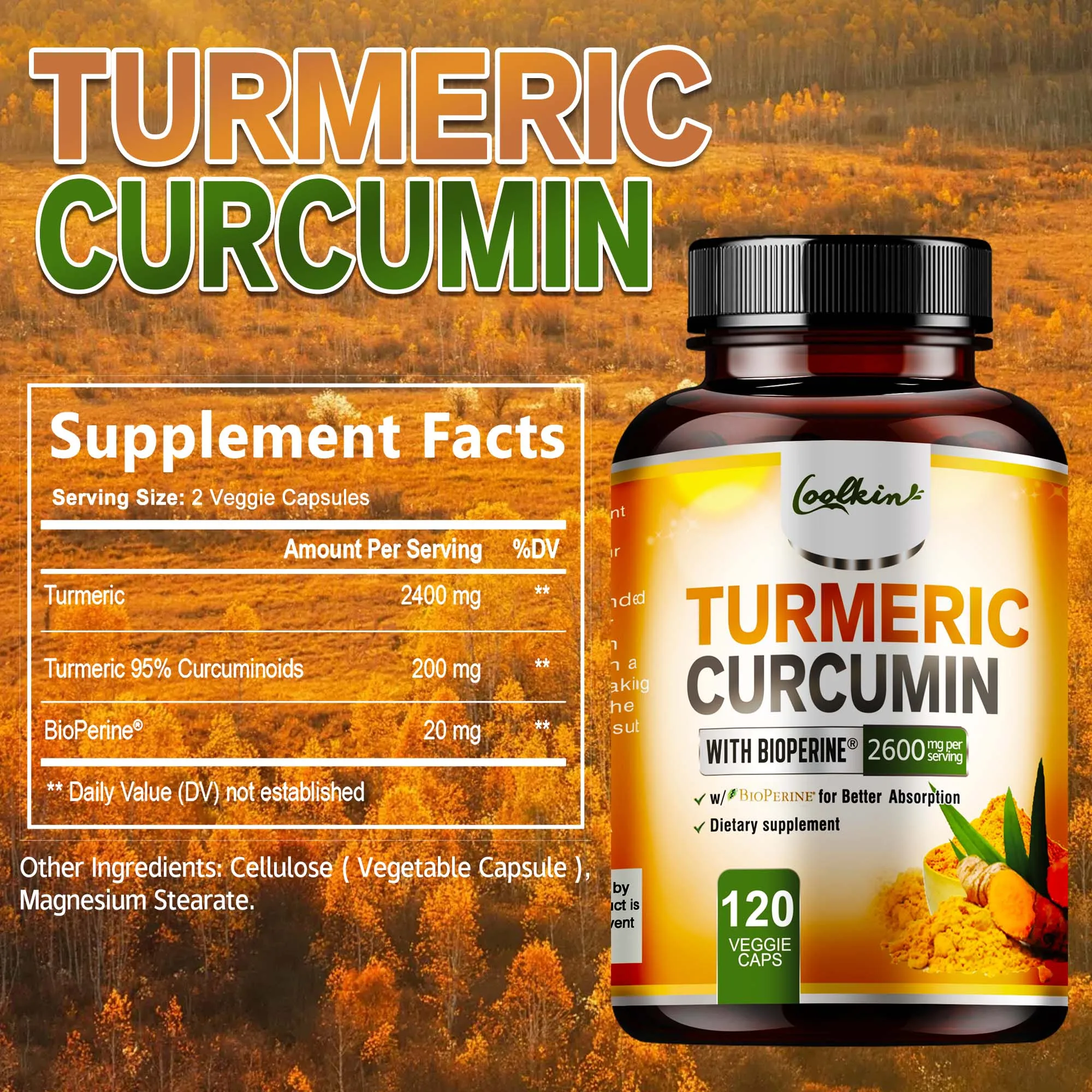 Turmeric Curcumin - 95% Curcumin & Bioperine - Highly Absorbable Turmeric Supplement, Joint & Digestion Health - 120 Capsules