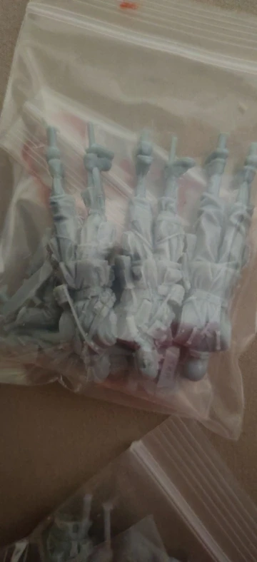 Buyer photo of this resin kit