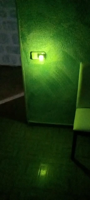 리뷰 사진