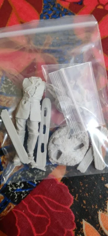 Buyer photo of this resin kit