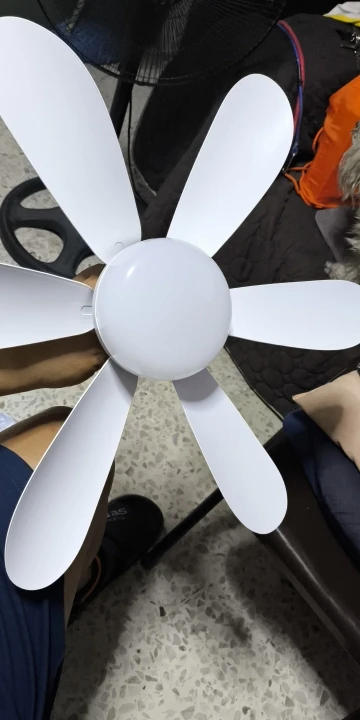 리뷰 사진