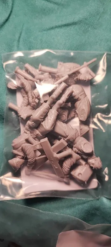 Buyer photo of this resin kit