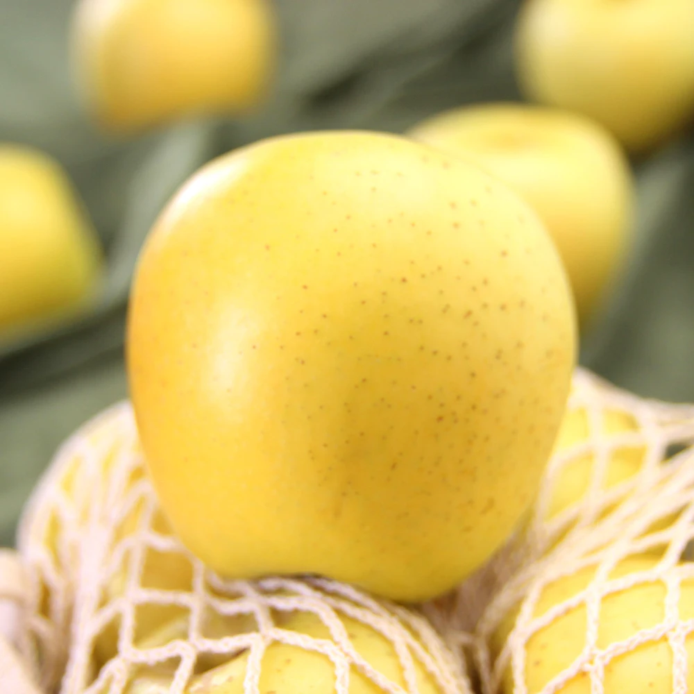 [InHane] Sina Gold Special 3kg Small/Middle/Special Fruit