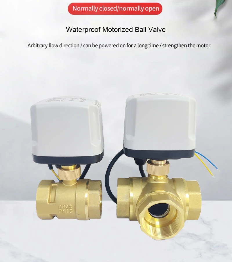 Detalle 1 de Electroválvula 2 Wire Waterproof Motorized Ball Valve Brass Power-off Reset 8 N·m Big Torque DC12V DC24V AC110V AC220V Electric Water Valve Neumática