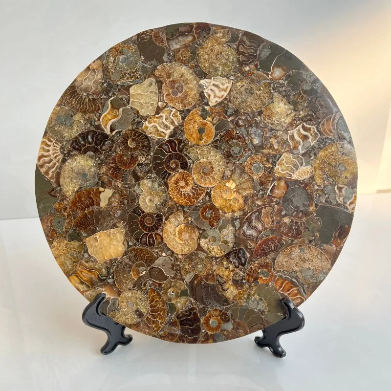 Natural Ammonite Composite Disc Mosaic Stone Art Round Healing Crystal Home Decor Display