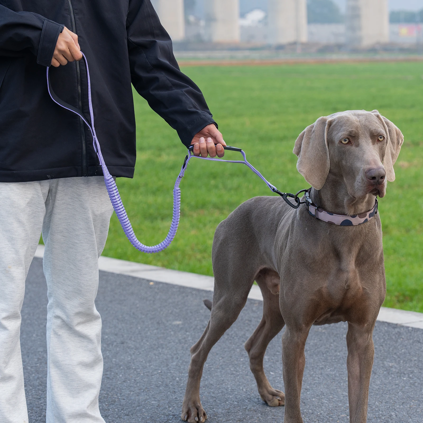 Taktische Hundeleine Robuste Reflektierende Starke Anti-Zug Bungee-Leine für Mittelgroße und Große Hunde mit Komfortablem Gepolstertem Doppelgriff – Detail 15