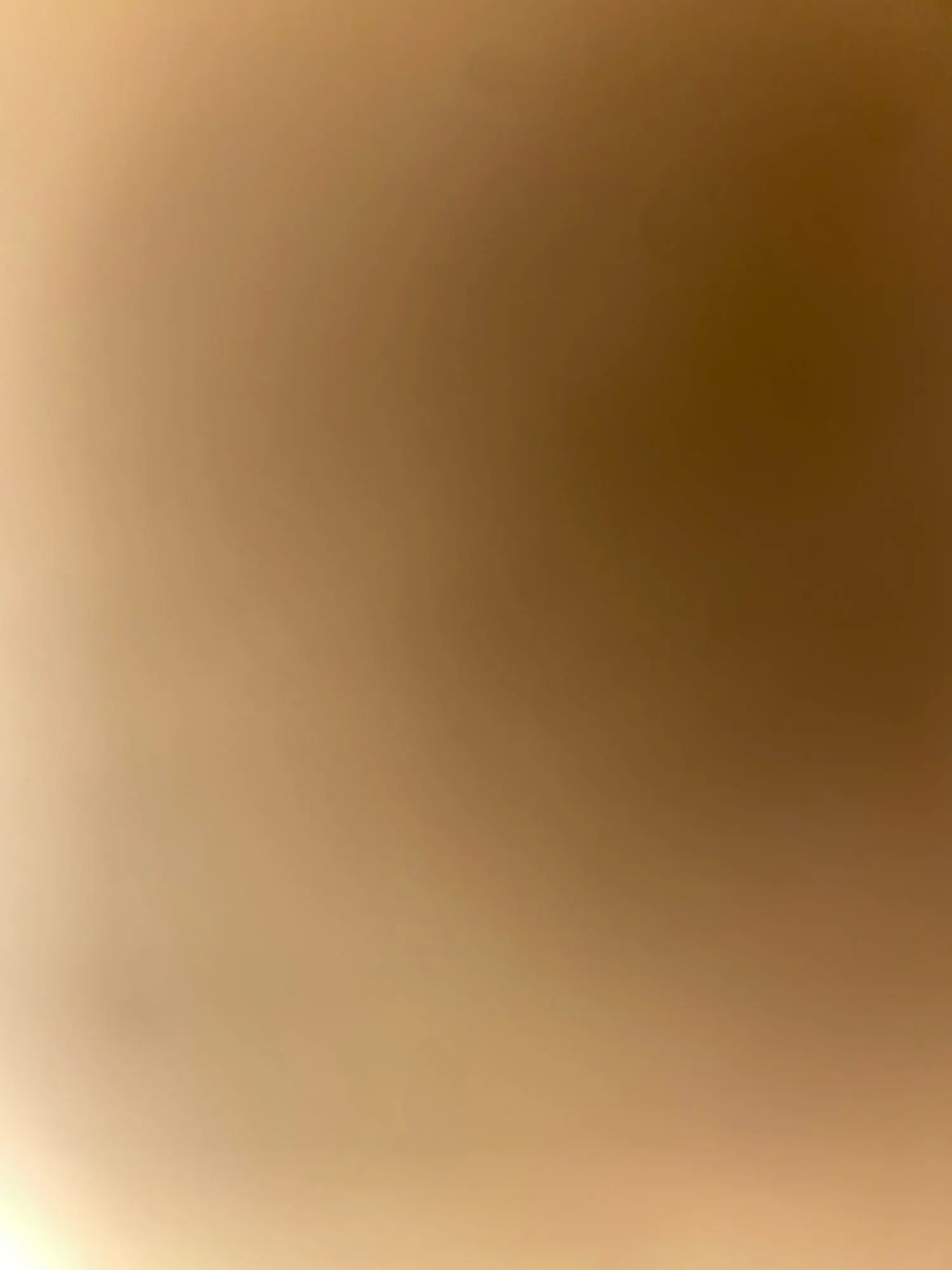 실물 포토 리뷰