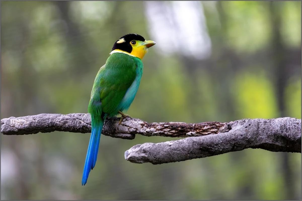 

30/60ml Measuring Cup Tools Bar Measure Cocktail JiggerBar Tools Bar Accessories Barware