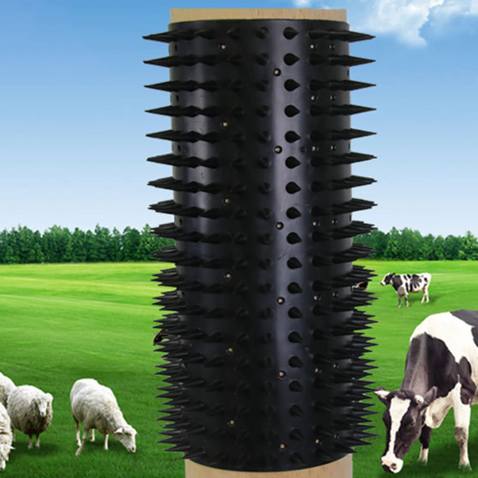 Livestock Itch Post…