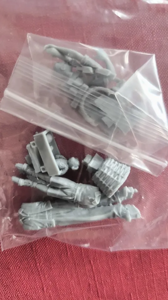 Buyer photo of this resin kit