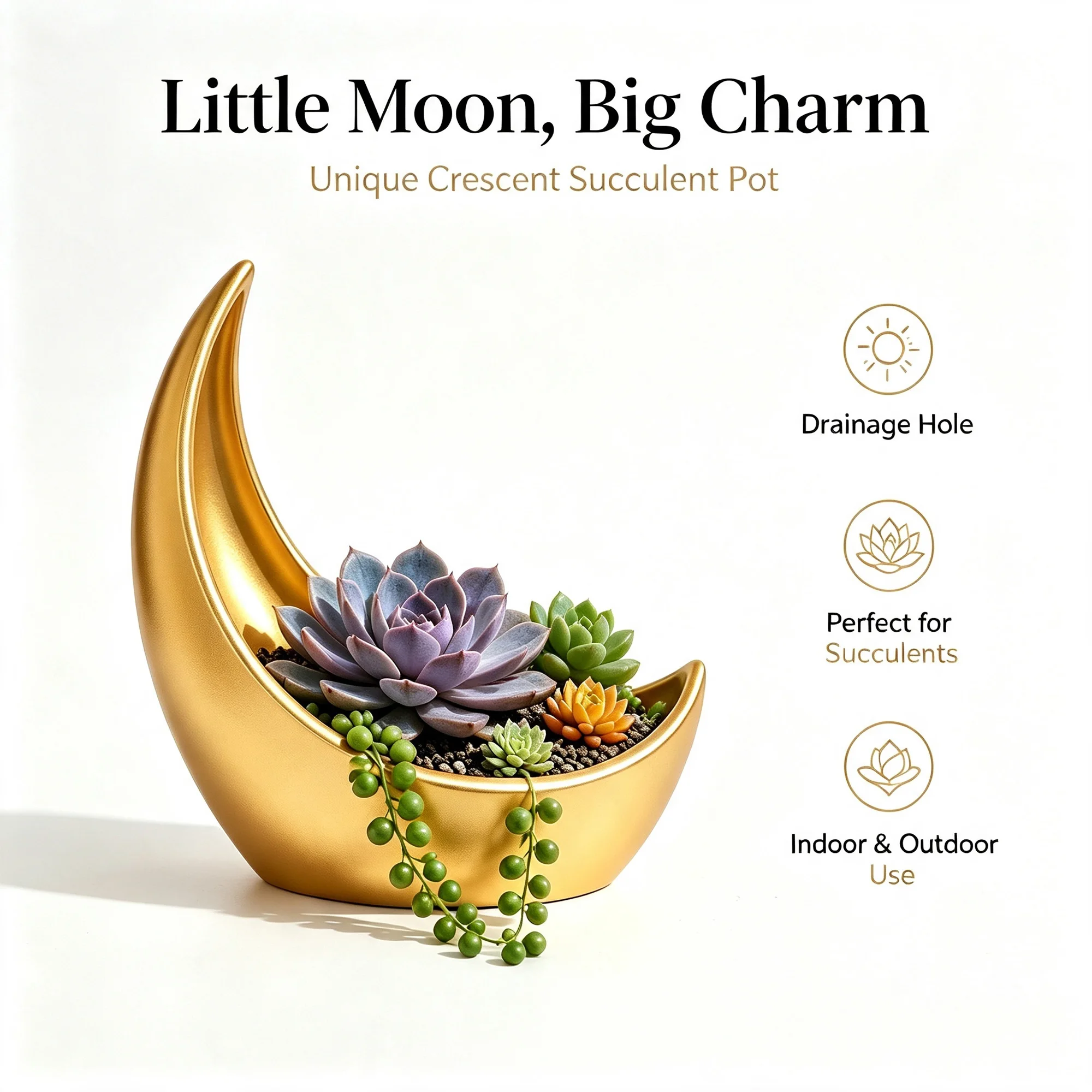 Golden Crescent Moon Succulent Planter Pot, Unique Moon‑Shaped Flower Pot with Drainage Hole, Decorative Plant Container for Indoor Outdoor Home Tabletop Decor
