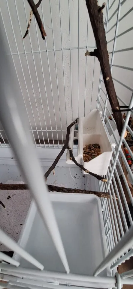 Parrots Feeder Hanging Bowl Box Cover Food Water Trough Pet Accessories Thickening Bird Cage Two Squares Bird Accessories photo review