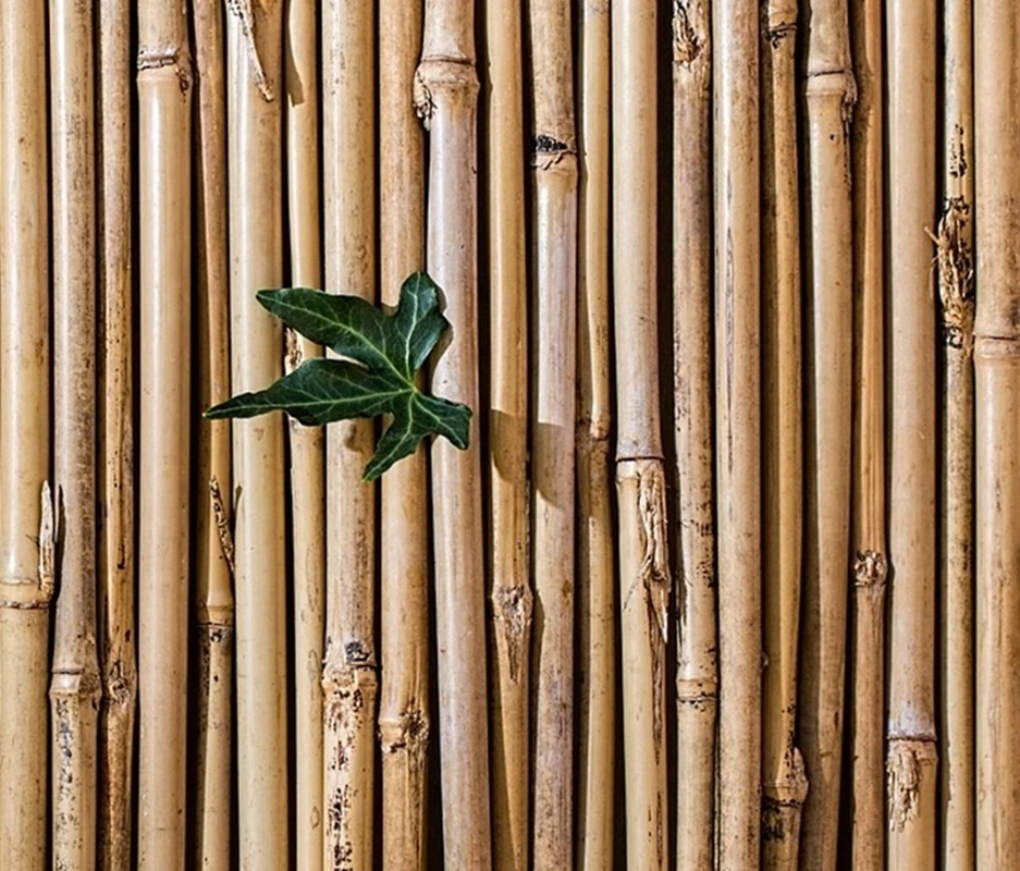 10 units. Bamboo cane tutor, plant entutoring. 120 Cm