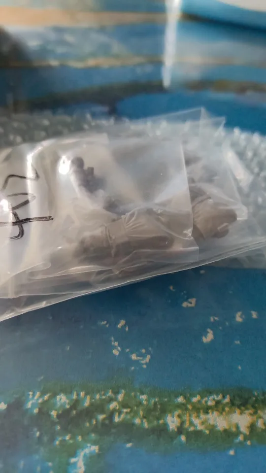 Buyer photo of this resin kit