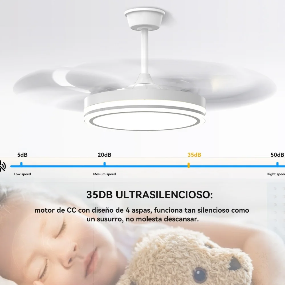 Imagen 6