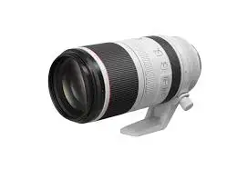 NEW RF 100-500mm F/4.5-7.1 L IS USM lens