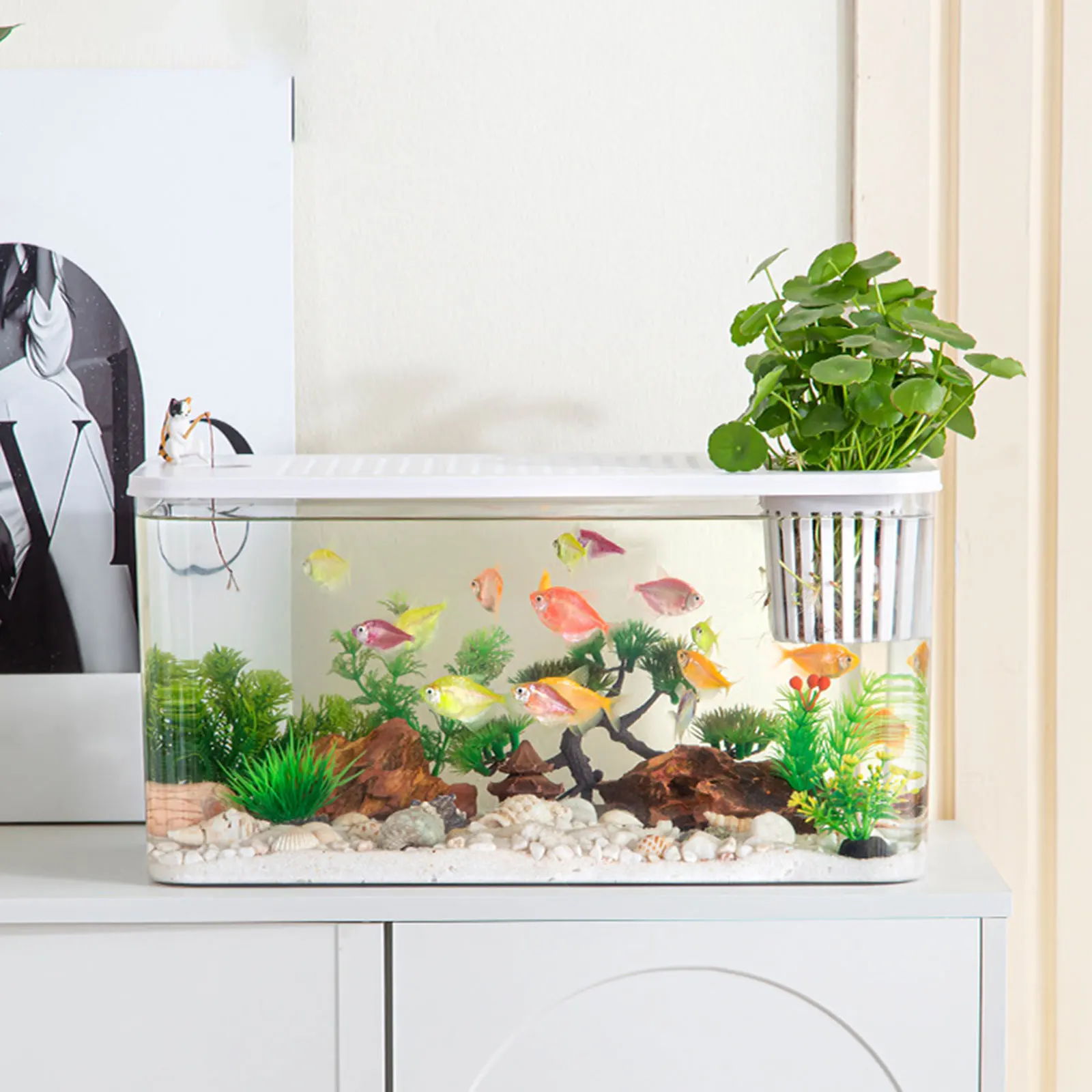 Thumbnail 4 - #57 Budget Cages & Pens for Smart Shoppers