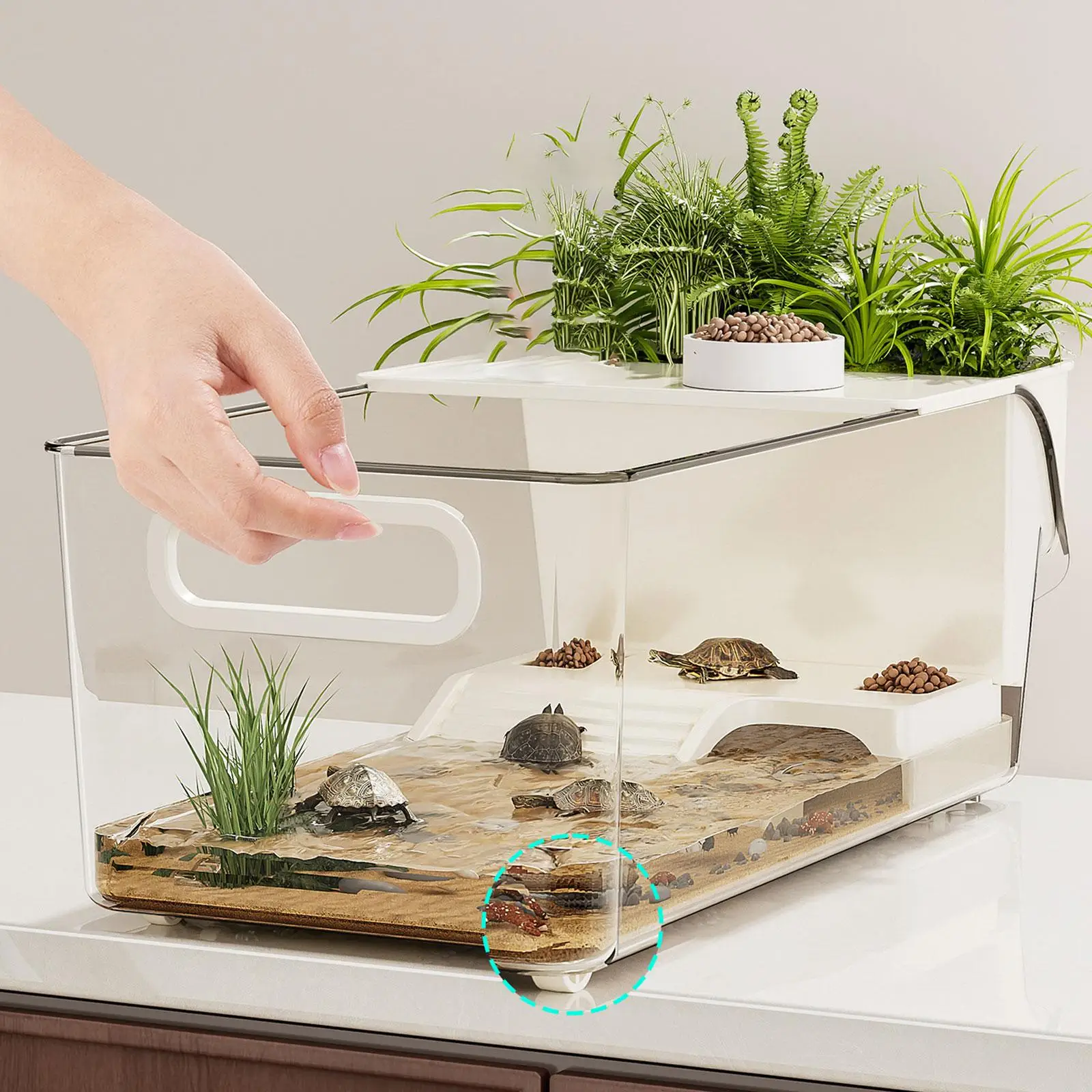 Turtle Tank with Basking Ramp Reptile Habitat Pet Terrariums for Frog Hermit Crabs Amphibians Breeding Feeding Container view 3